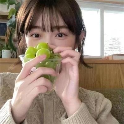 豹 海报